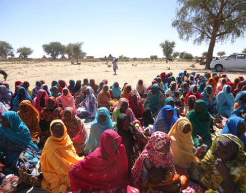 img_Gender participation