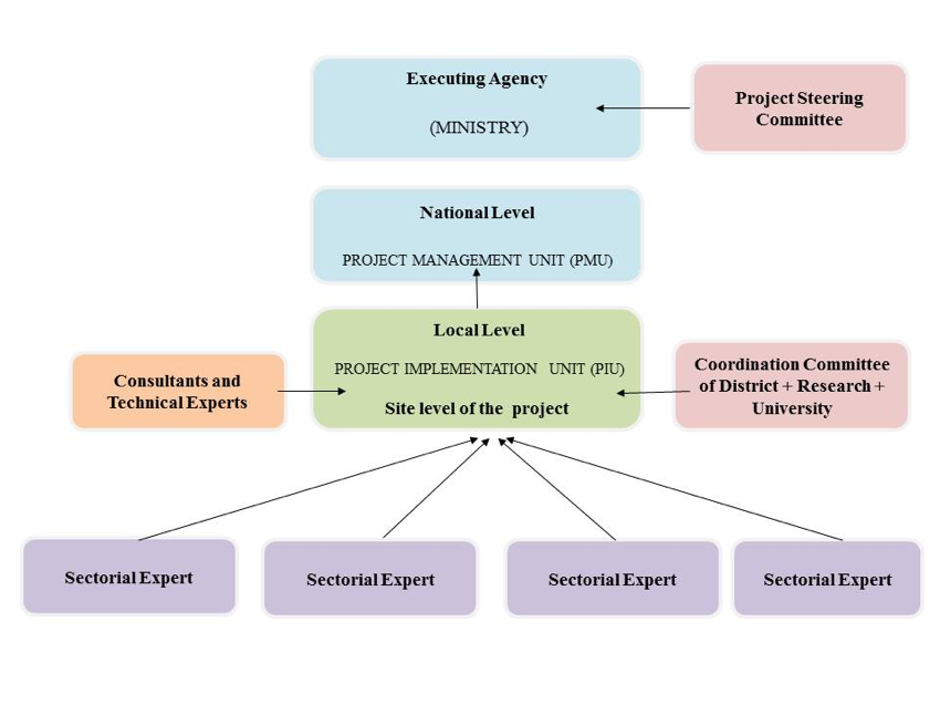 Image_SVP organizational framework (multi-scale)
