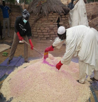 Image_Processing & distribution of rain-fed seeds